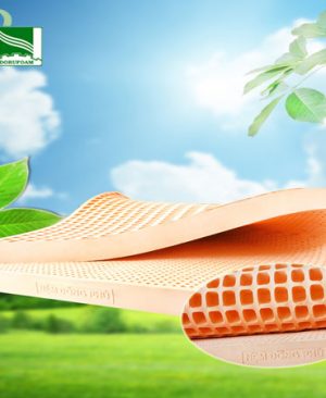 Đệm cao su Đồng Phú Friendly